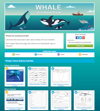 Whales